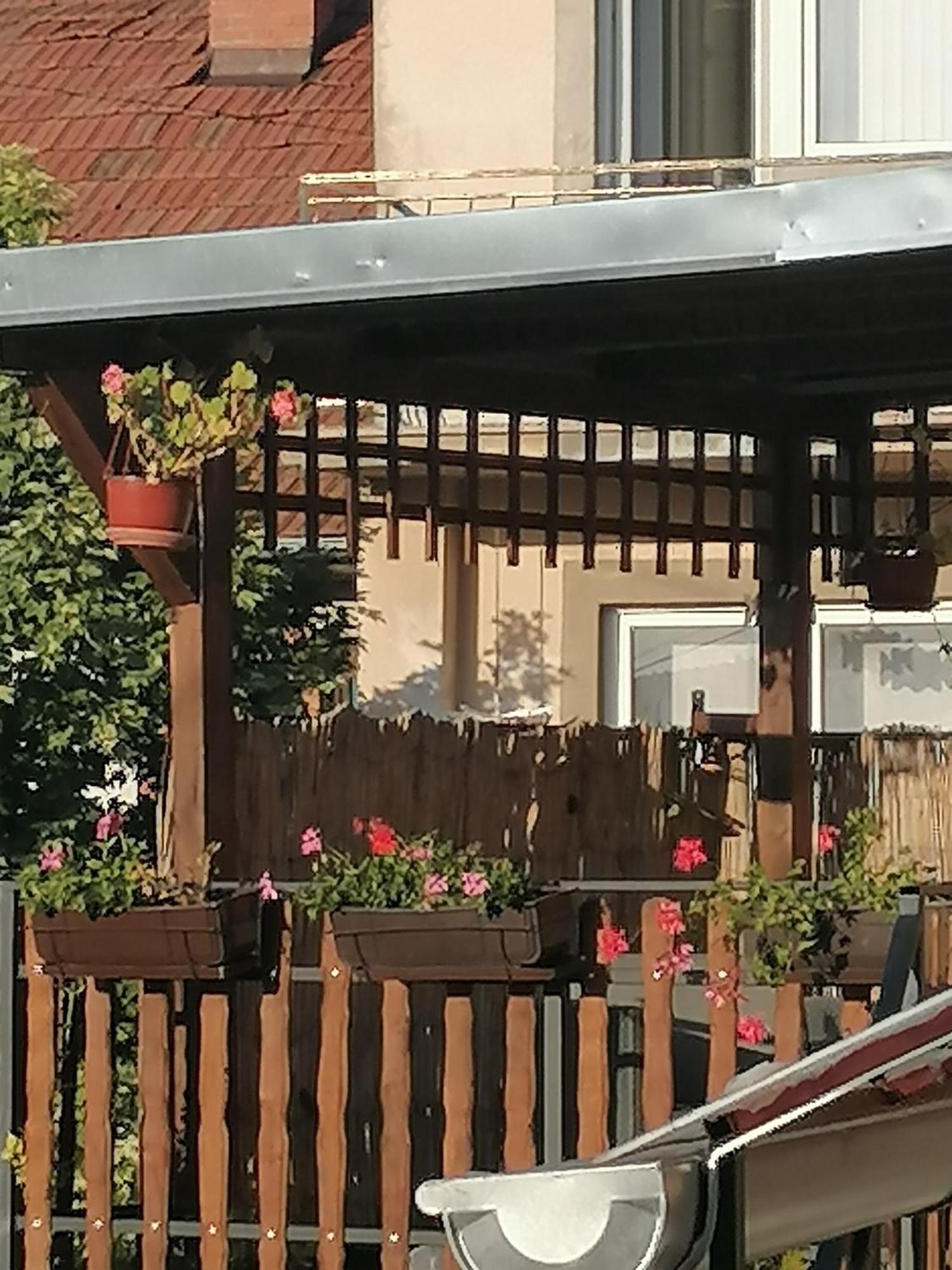 Apartmani Milosavljevic Sokobanja Szoba fotó